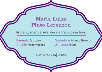 MARIA LUIZA P